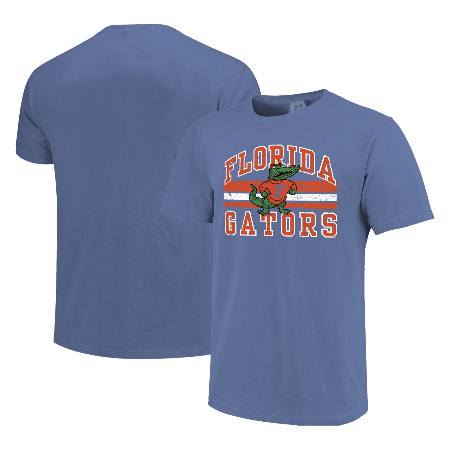 Florida Gators Image One Men's T-Shirt 250906 Vintage Arched - officially licensed fan gear