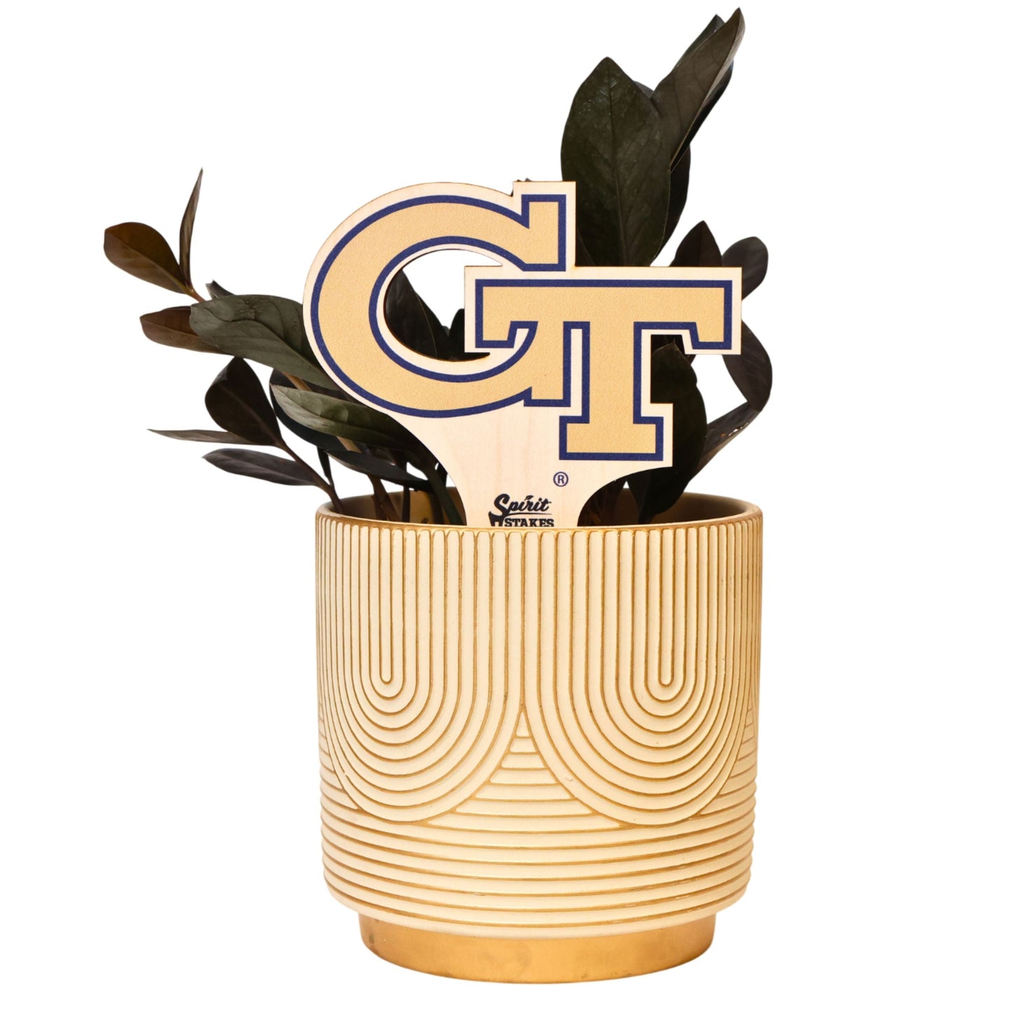 Georgia Tech GT Color Plant Stake