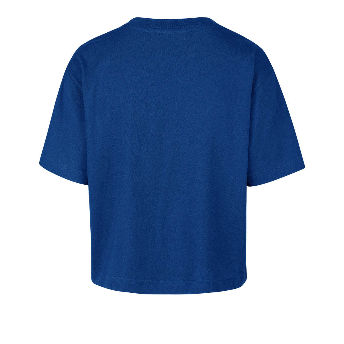 NCAA Florida Gators '47 Brand First Rank Foundation Crop Royal Tee - back