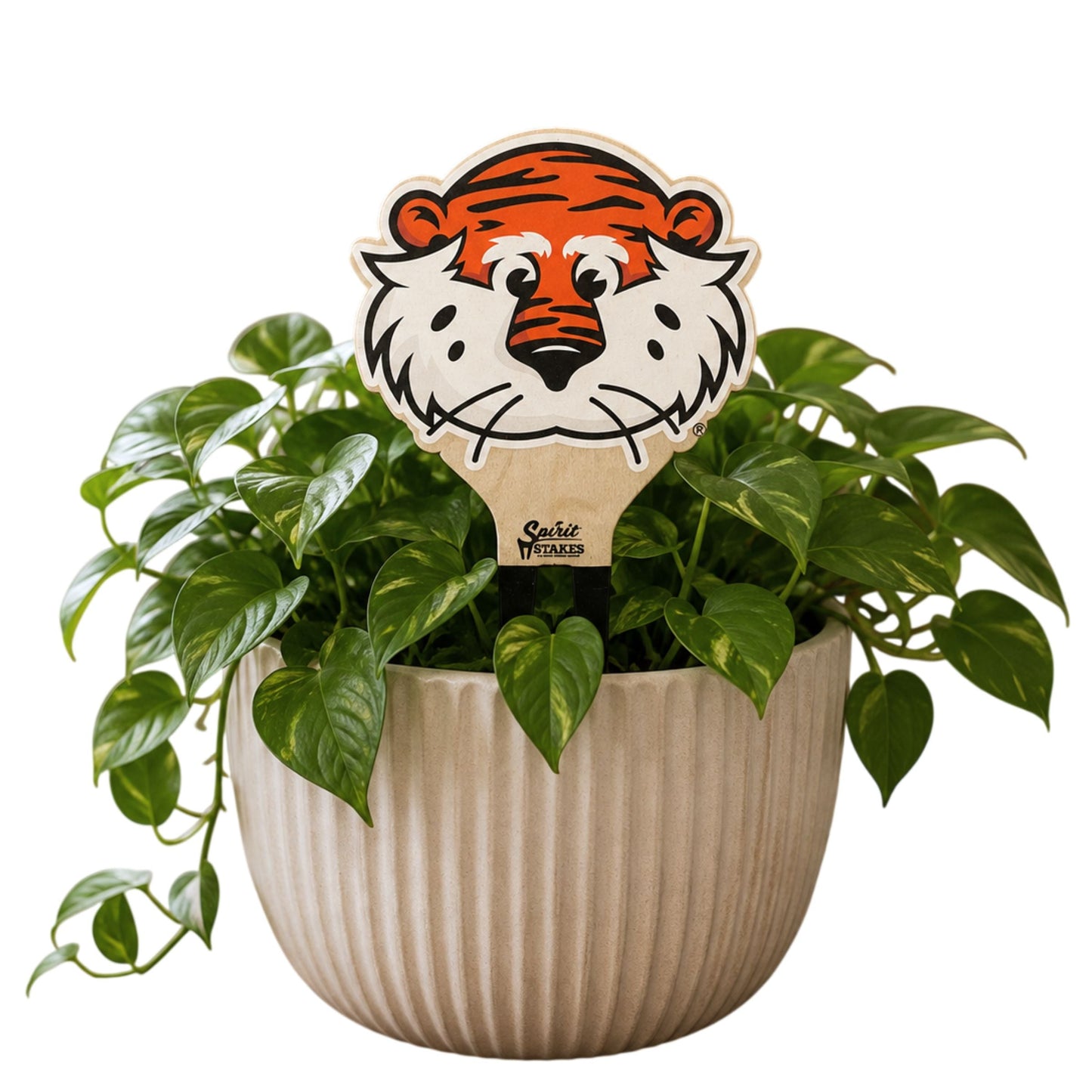 Auburn Aubie Color Plant Stake