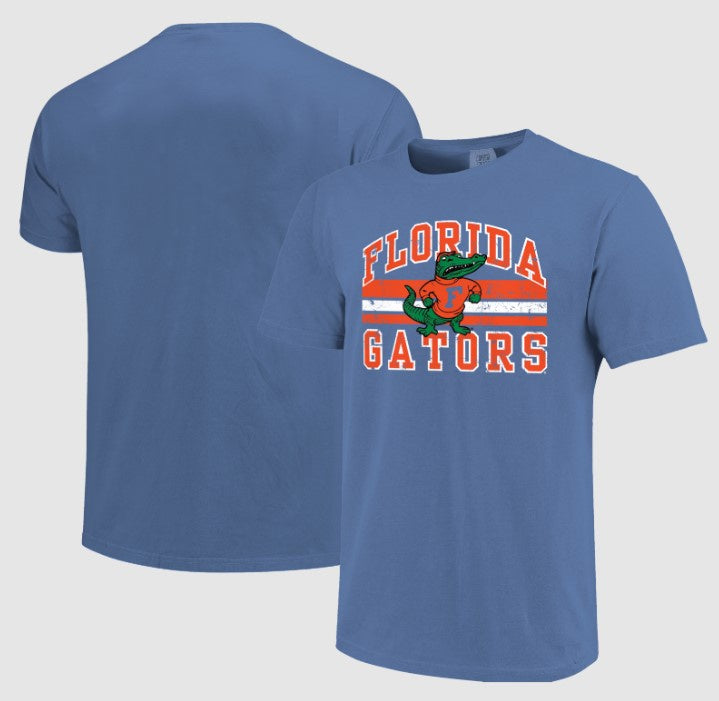 University of Florida Gators Image One Vintage Arched Tee