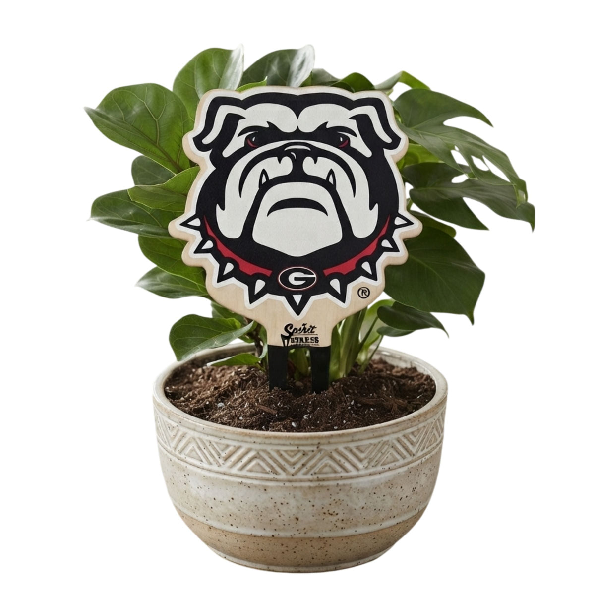 University of Georgia Bulldog Color Plant Stake