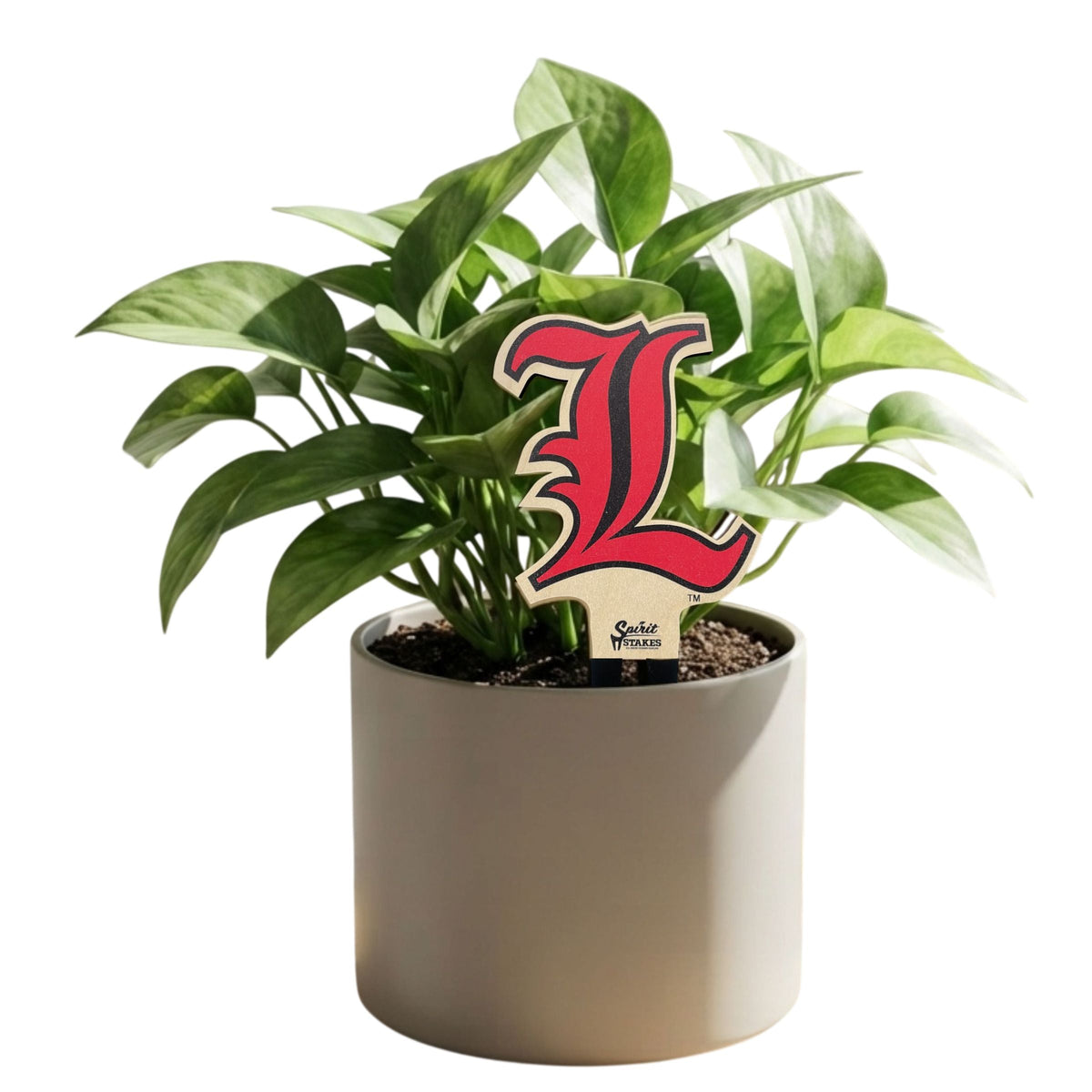University of Louisville 'L' Color Plant Stake