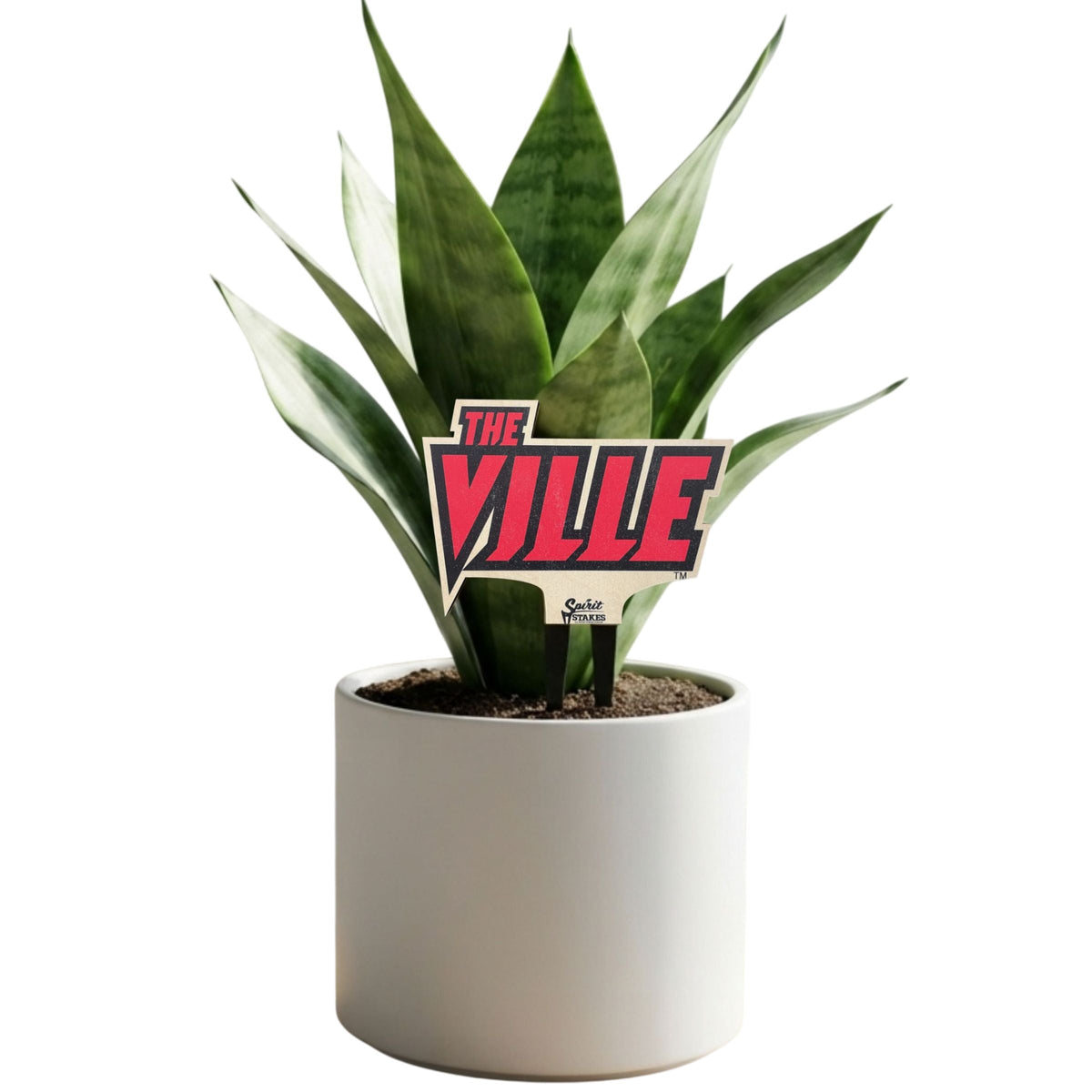 University of Louisville 'Ville' Color Plant Stake