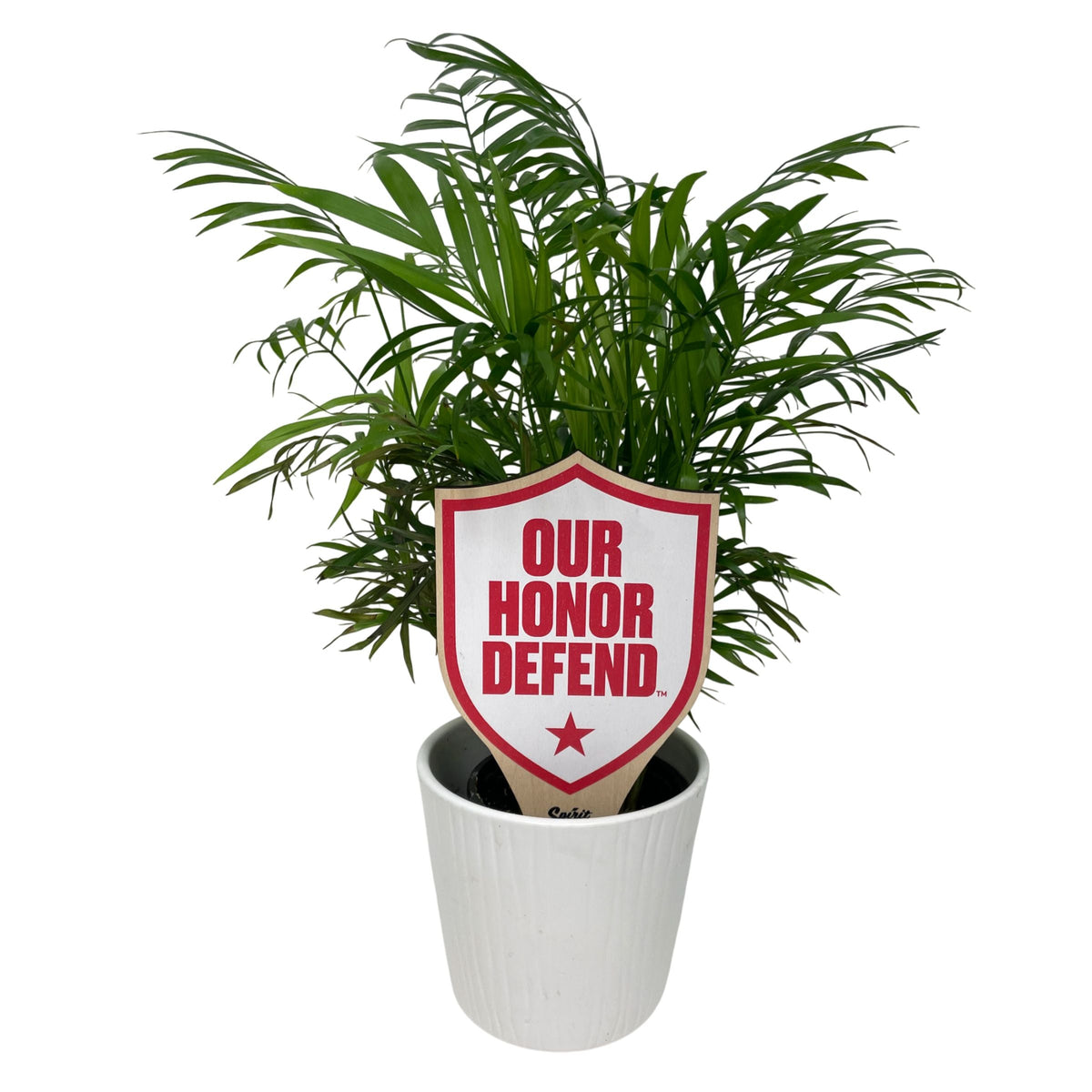 The Ohio State University Fight Song Color Plant Stake