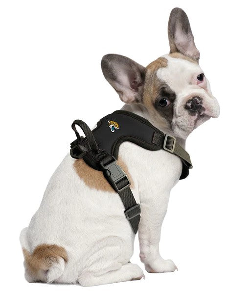NFL Jacksonville Jaguars Front Clip Pet Harness