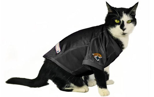 NFL Jacksonville Jaguars Pet Stretch Jersey