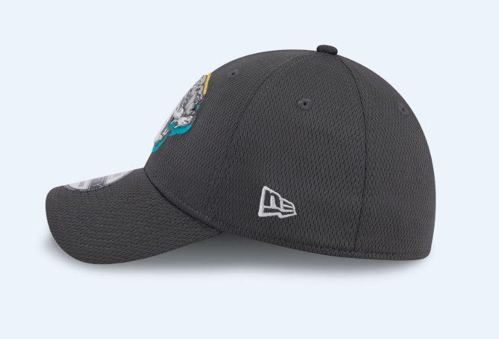 2024 NFL Jacksonville Jaguars 39Thirty Stretch Fit New Era