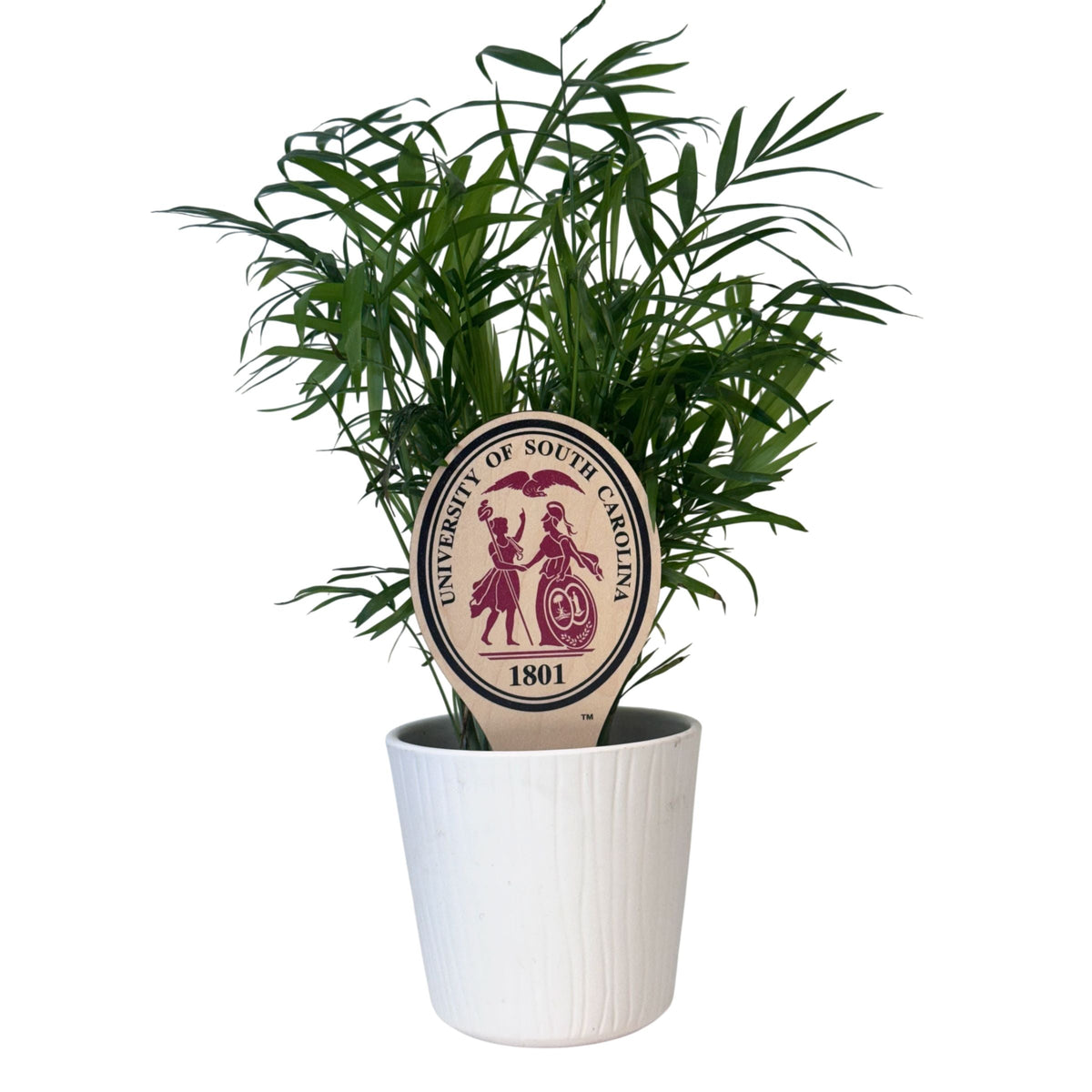South Carolina Emblem Color Plant Stake