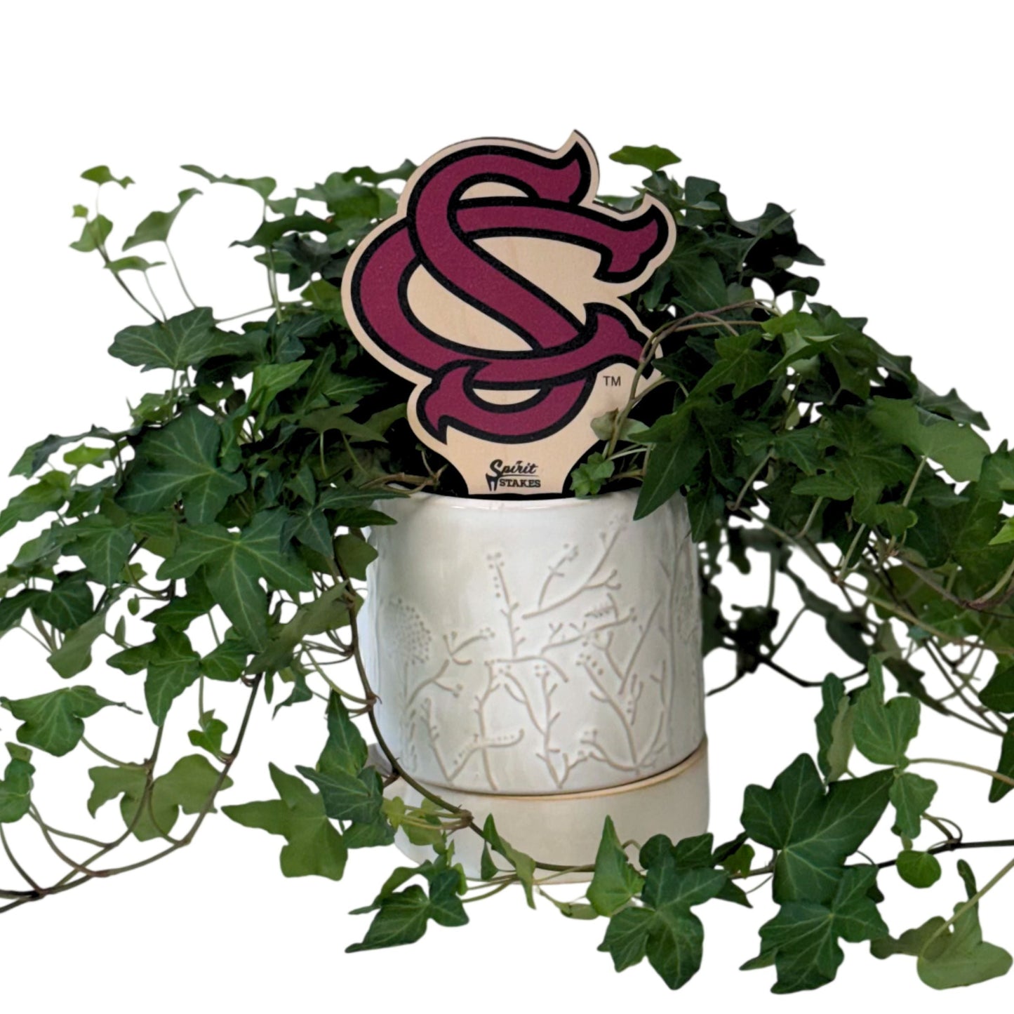 South Carolina 'SC' Color Plant Stake
