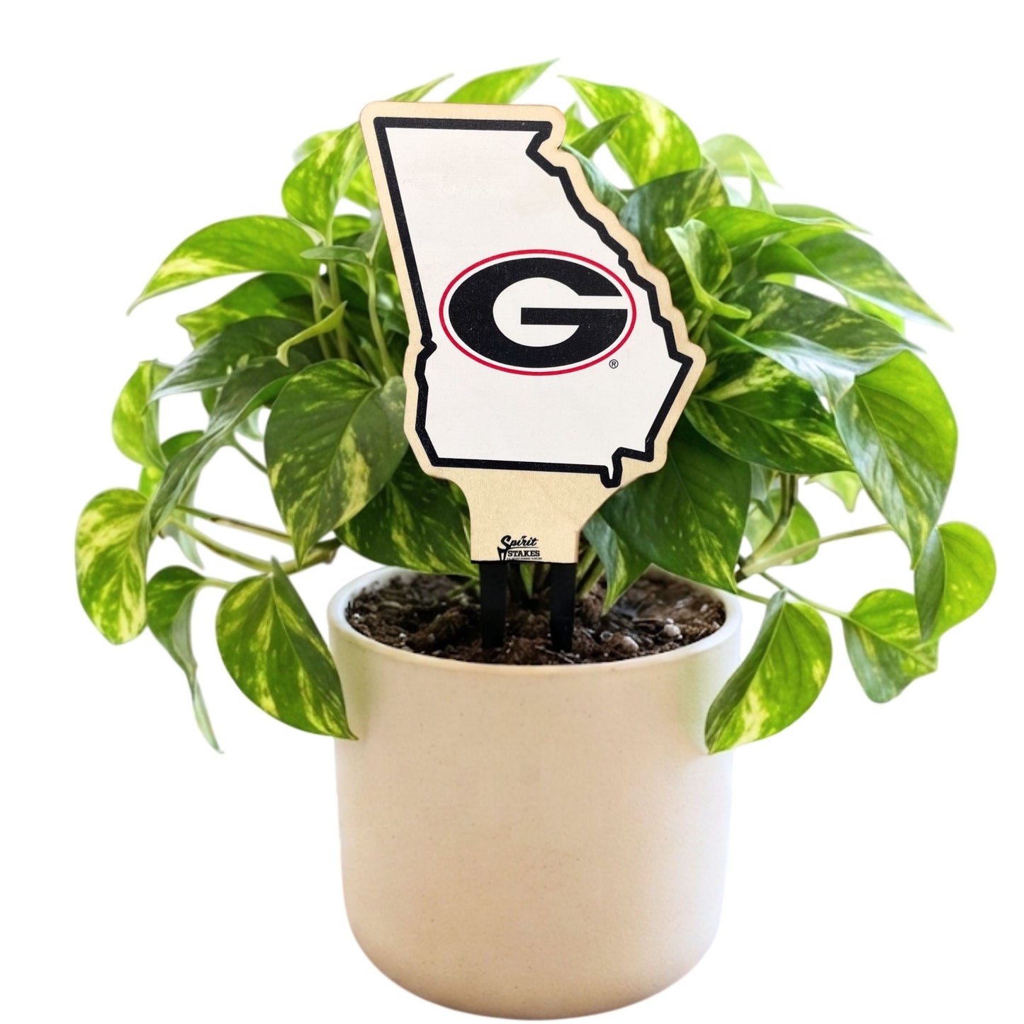 University of Georgia State Color Plant Stake