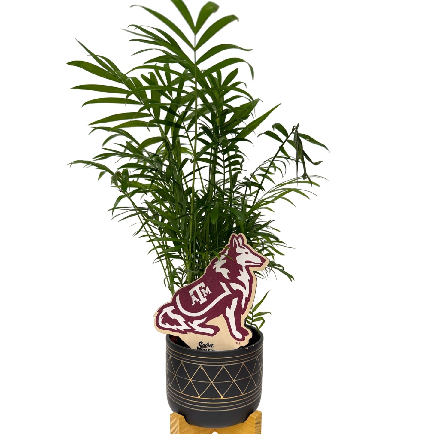 Texas A&M Aggies Color Plant Stake