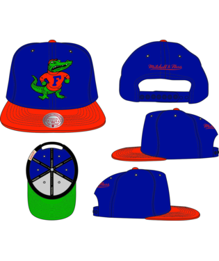 University of Florida Gators Mitchell & Ness Team 2 Tone 2.0 Snapback