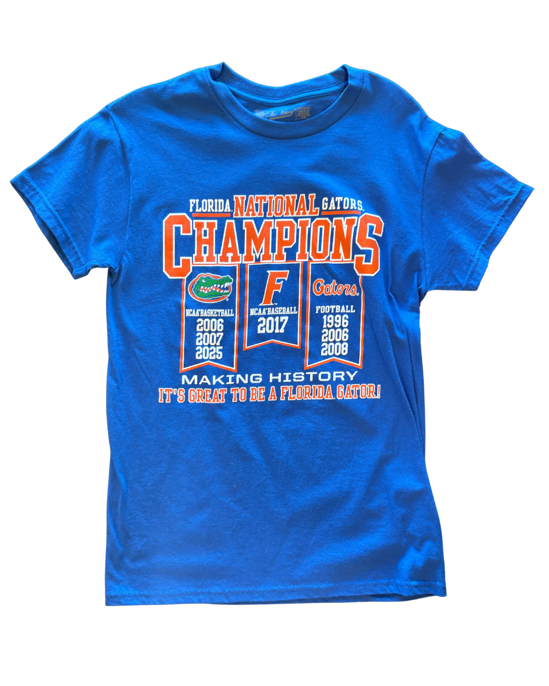 University of Florida Gators The Victory Men's Everything School T-Shirt - officially licensed fan gear