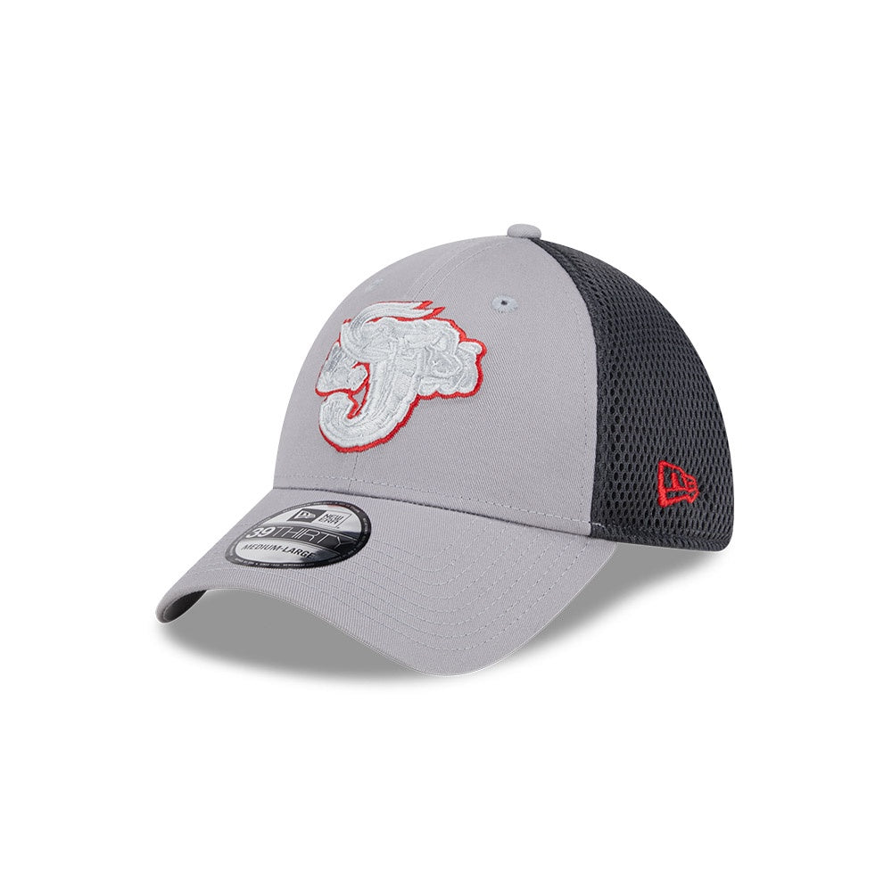 Jacksonville Jumbo Shrimp FlexFit 39Thirty New Era