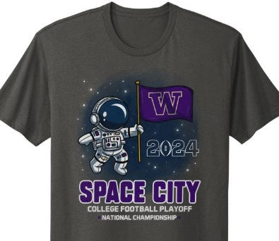 NCAA Washington Huskies Space City Grey Tee