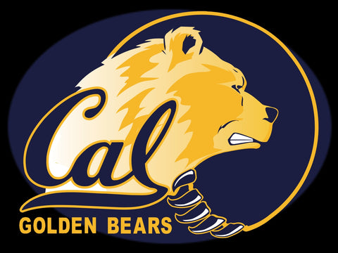 California Berkeley Golden Bears
