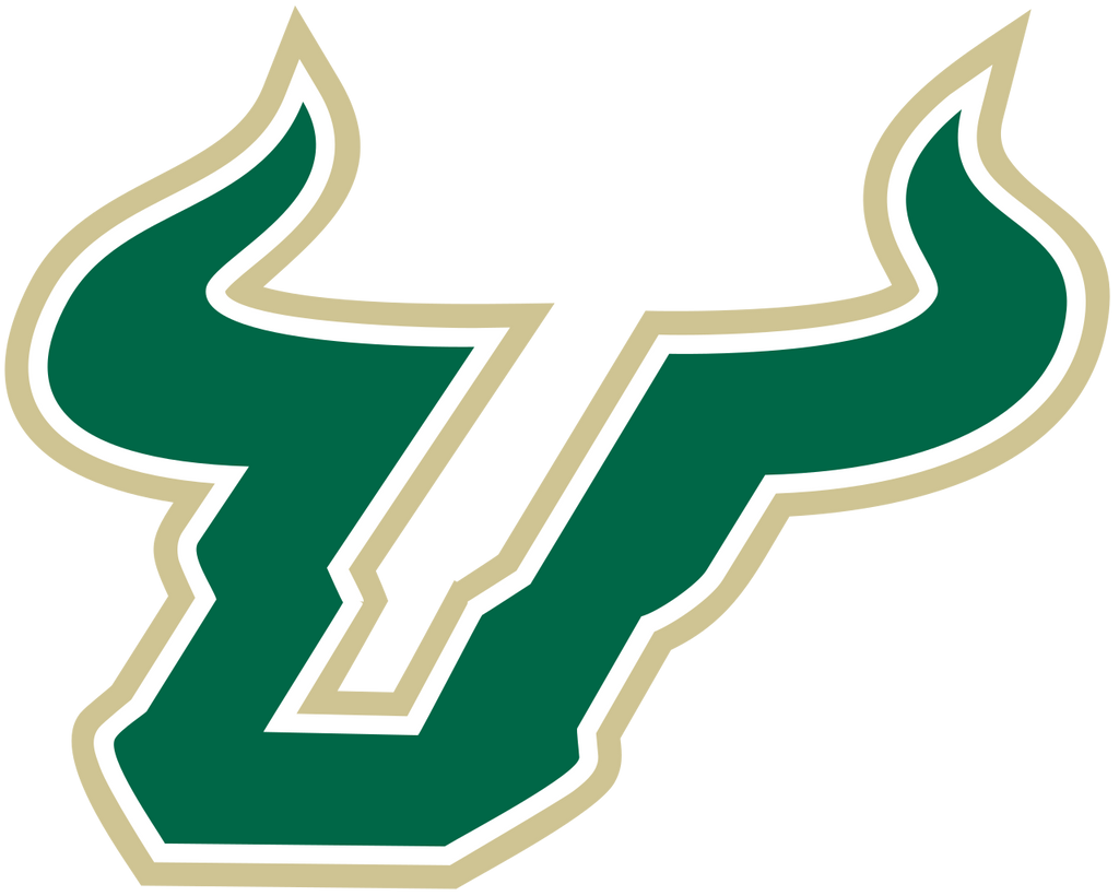 University of South Florida