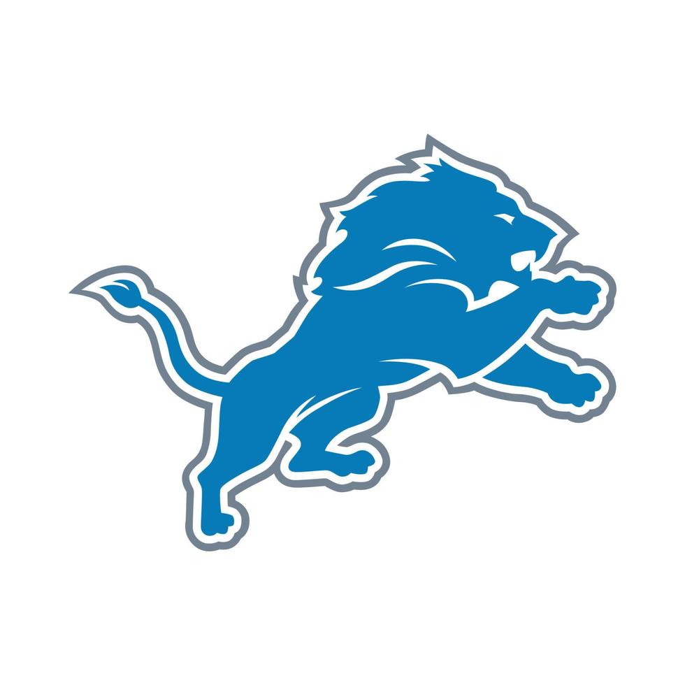 DETROIT LIONS