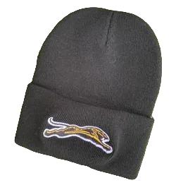 NFL Jacksonville Jaguars Carhartt Old School Jags logo Beanie