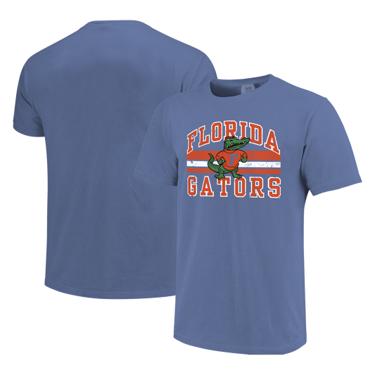 Florida Gators Image One Men's T-Shirt 250906 Vintage Arched