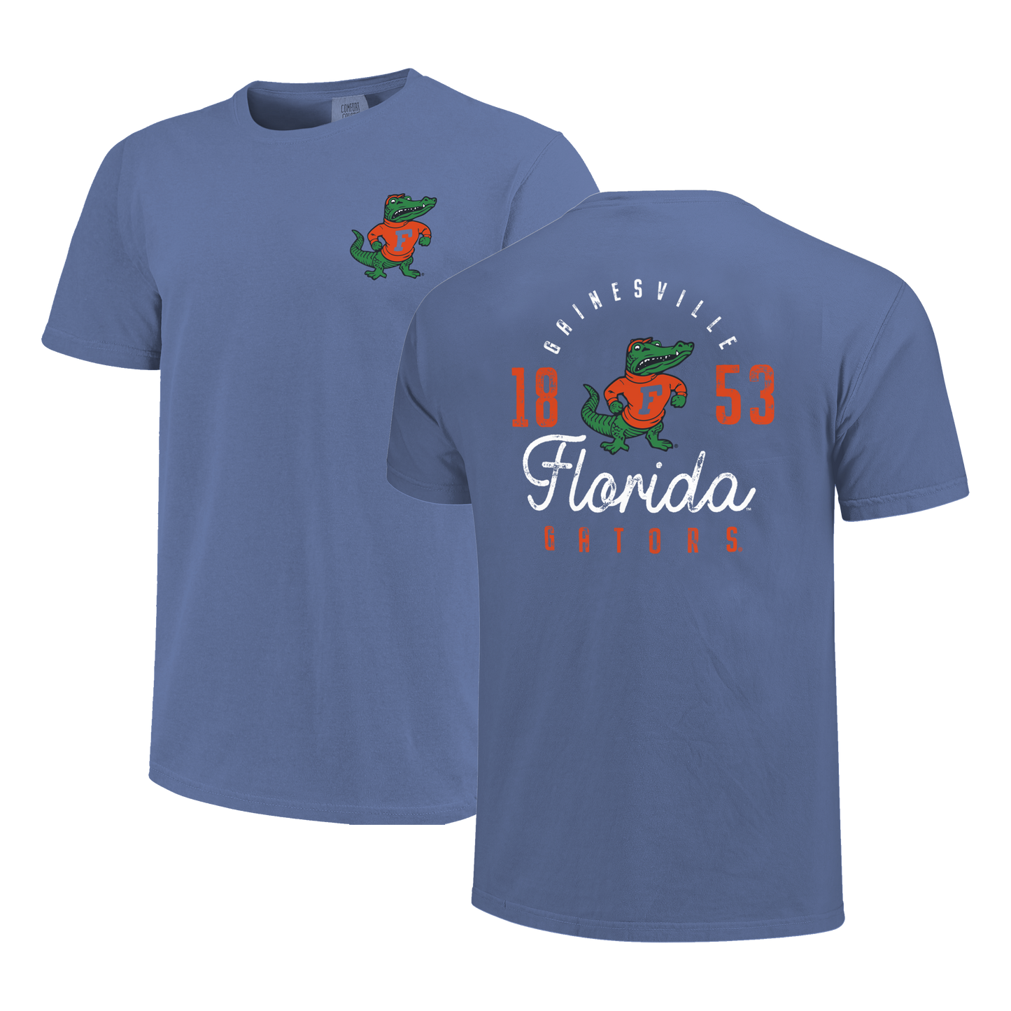 Florida Gators Image One Men's T-Shirt 250149 Distressed Type - officially licensed fan gear