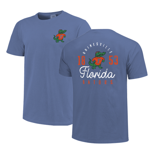 Florida Gators Image One Men's T-Shirt  250149 Distressed Type