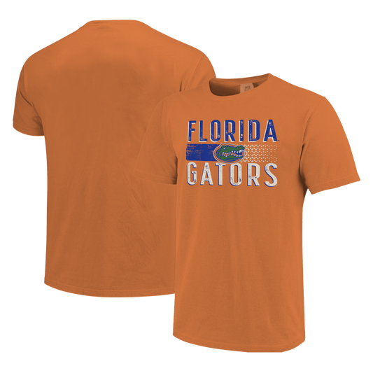 Florida Gators Image One Men's T-Shirt 250636 Two-Tone Stripe
