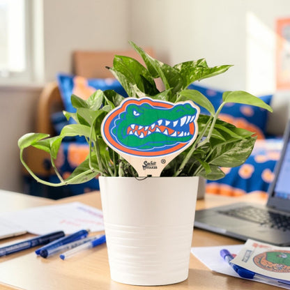 Florida, University of - Gator Head Color Plant Stake