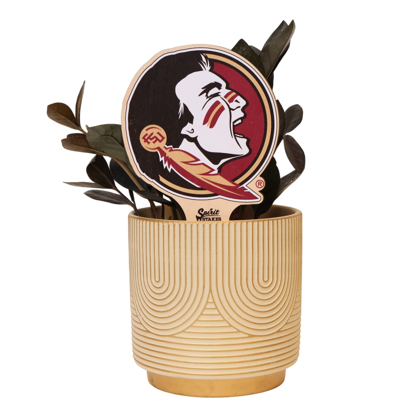 Florida State University Seminole Head Color Plant Stake