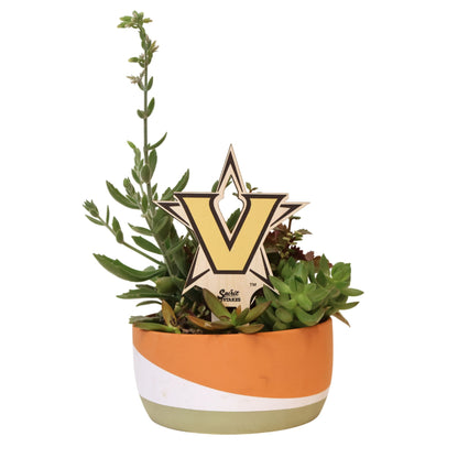 Vanderbilt Star V Color Plant Stake