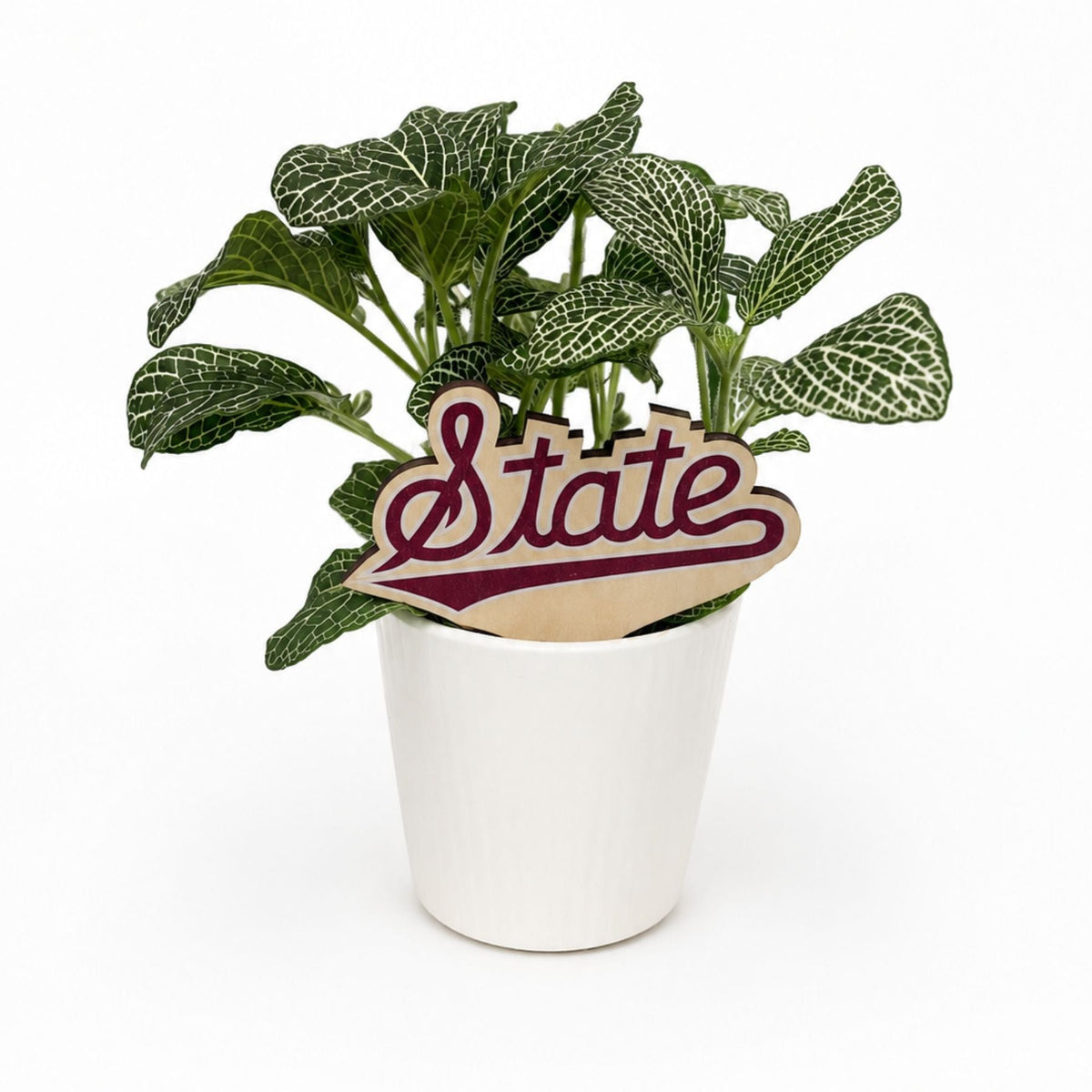 Mississippi State Script Color Plant Stake