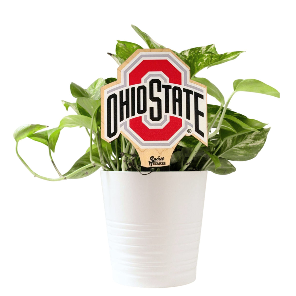 The Ohio State University Color Plant Stake