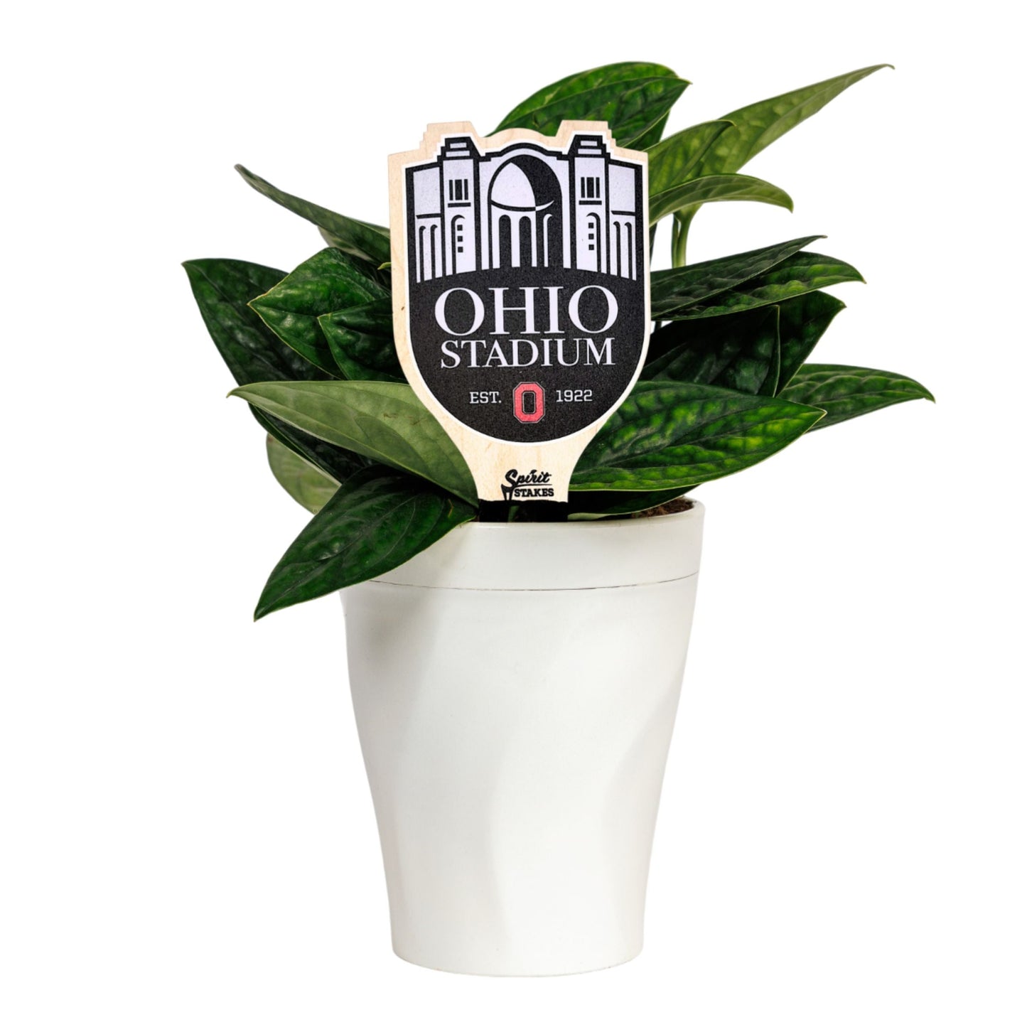 The Ohio State University Stadium Color Plant Stake