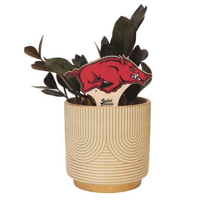 Arkansas, University of - Running Razorback Color Plant Stake