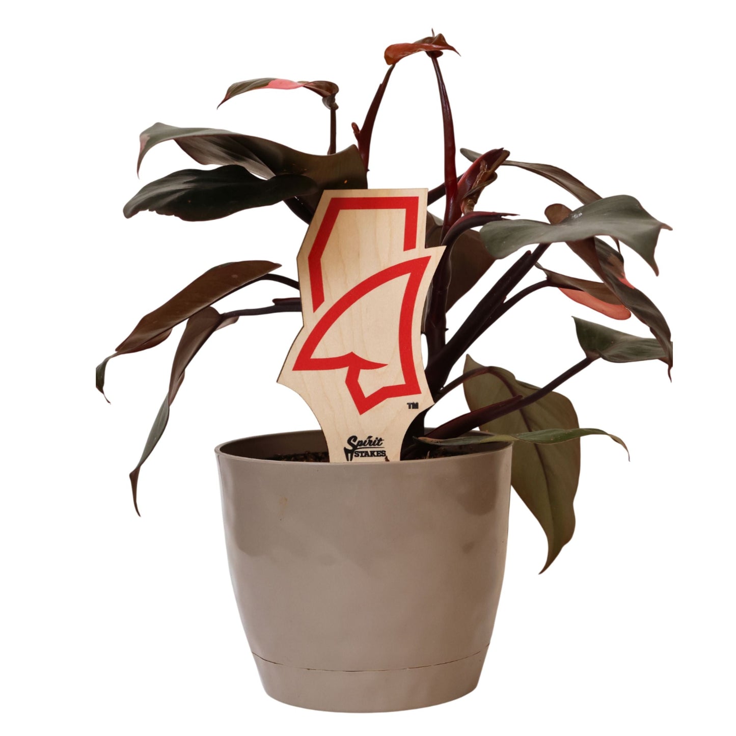 Mississippi, University of - Landshark Color Plant Stake