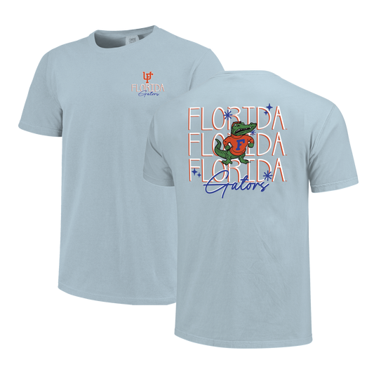 Florida Gators Image One Men's T-Shirt 250170 Skinny Stack