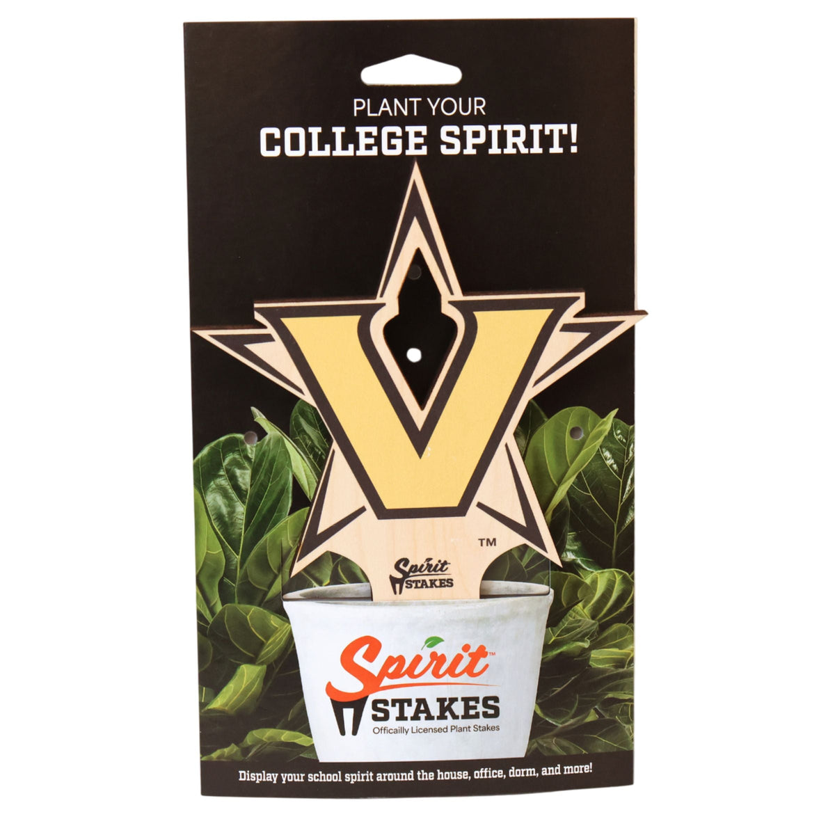 Vanderbilt Star V Color Plant Stake
