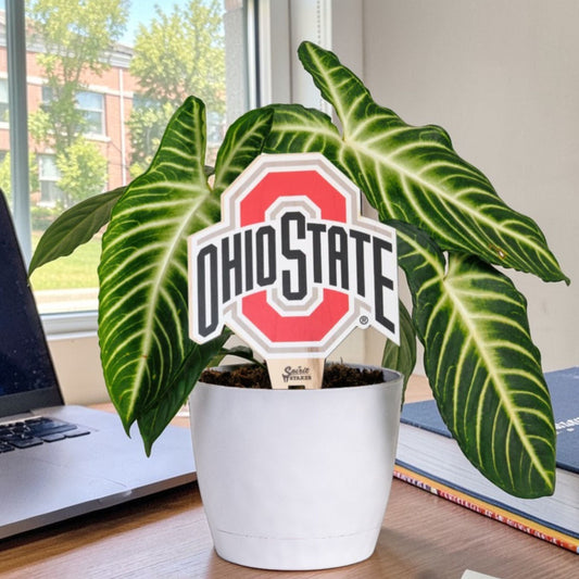 The Ohio State University Color Plant Stake