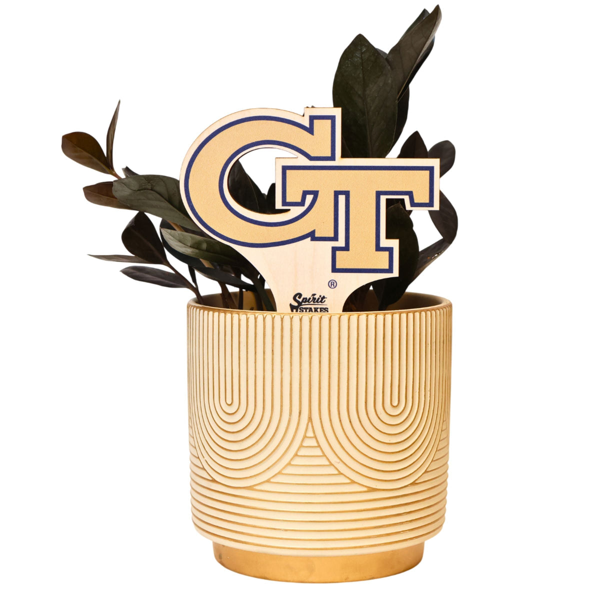 Georgia Tech GT Color Plant Stake