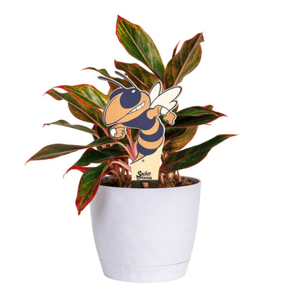 Georgia Tech Buzz Color Plant Stake