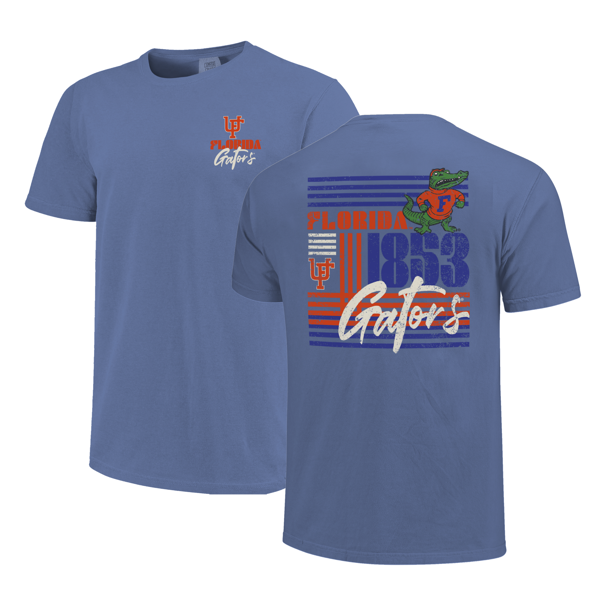 Florida Gators Image One Men's T-Shirt 250056 Vintage Lines