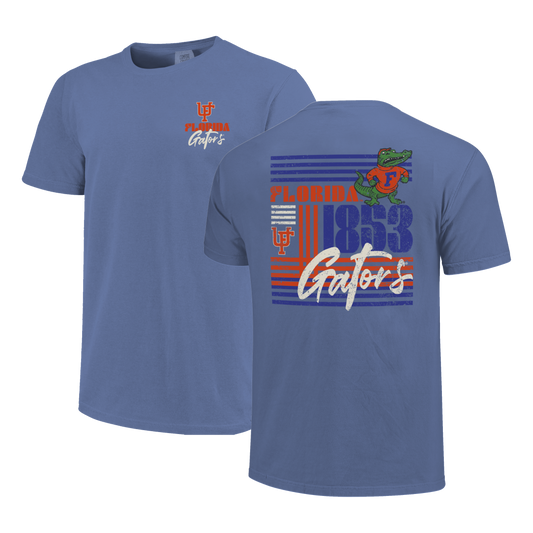 Florida Gators Image One Men's T-Shirt 250056 Vintage Lines