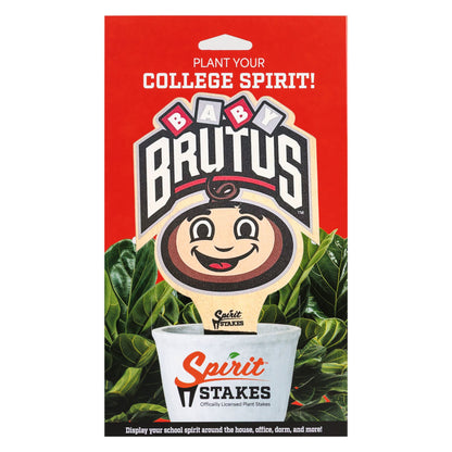 The Ohio State University Baby Brutus Color Plant Stake