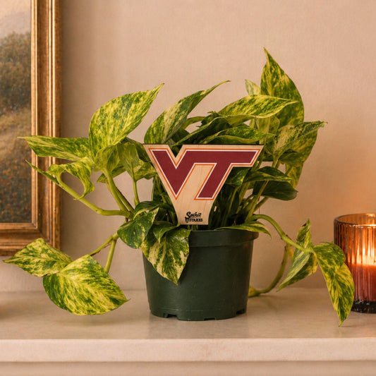 Virginia Tech VT Color Plant Stake
