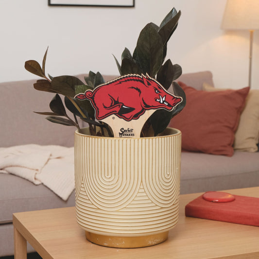Arkansas, University of - Running Razorback Color Plant Stake