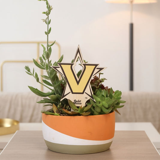 Vanderbilt Star V Color Plant Stake