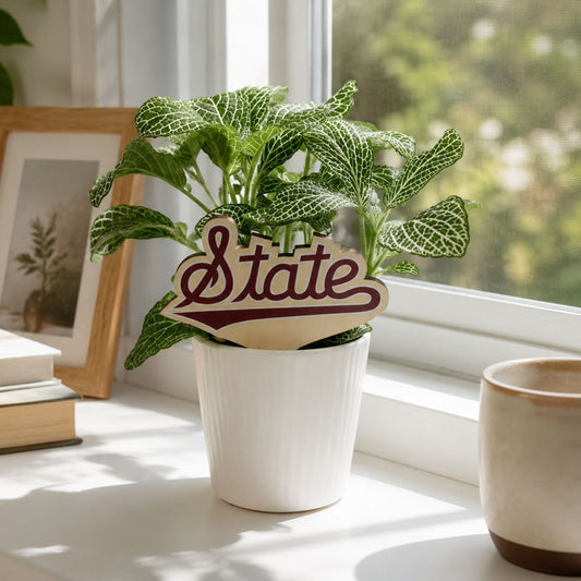 Mississippi State Script Color Plant Stake