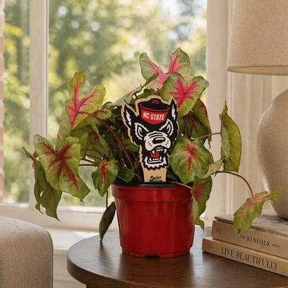 North Carolina State Wolfpack Color Plant Stake