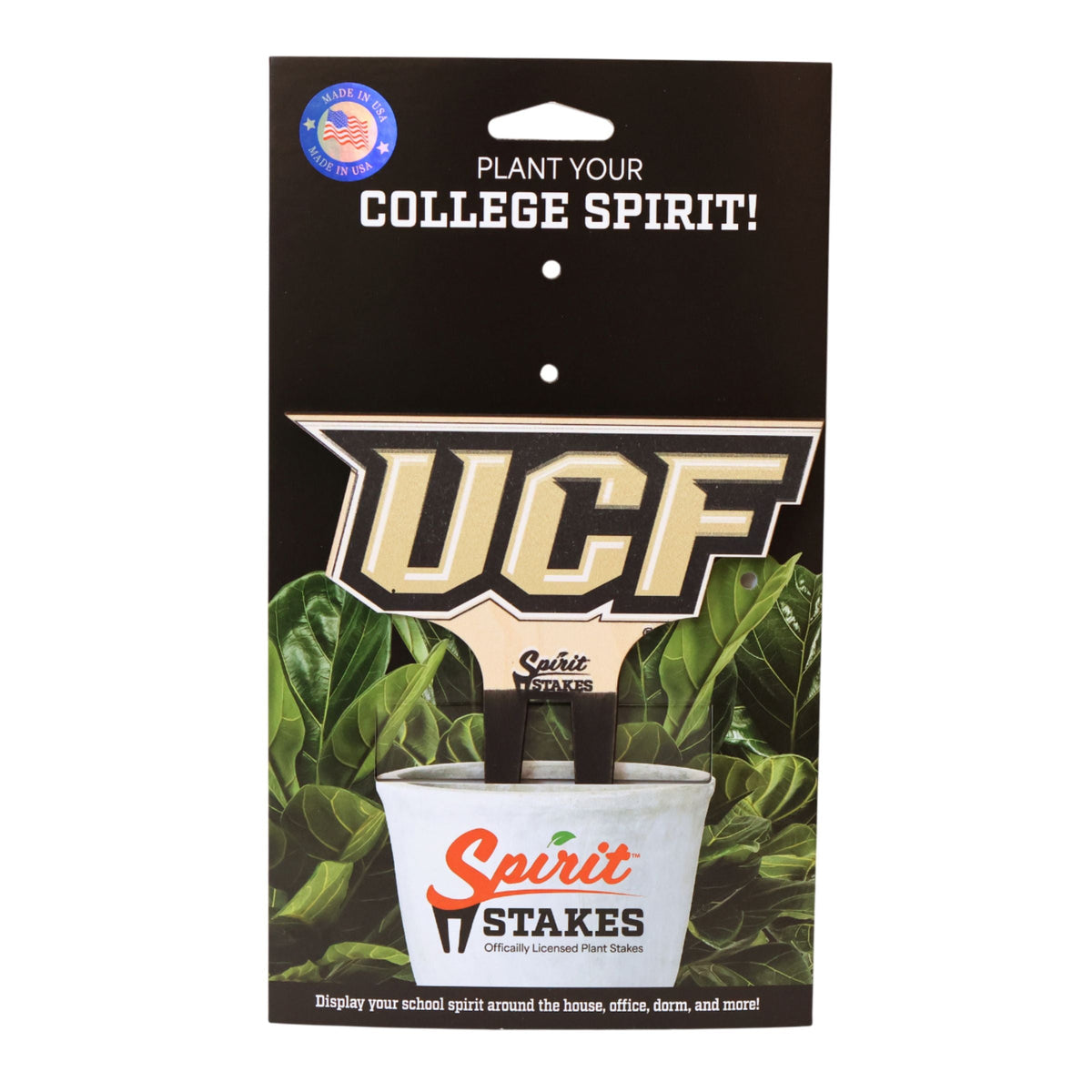 Central Florida 'UCF' Color Plant Stake